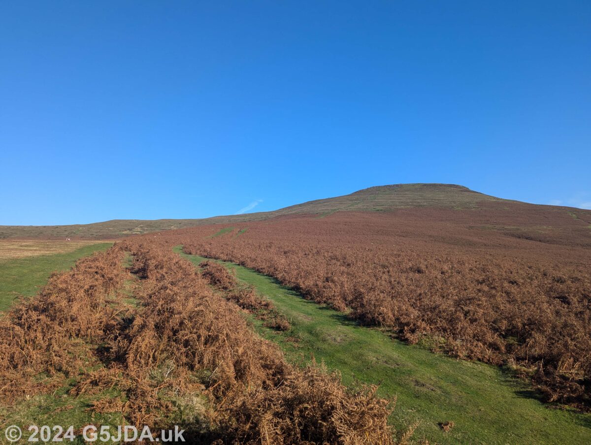 Sugar Loaf